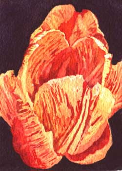"Orange You Glad It's Spring?" by Beth Scott, Mount Horeb WI - Watercolor